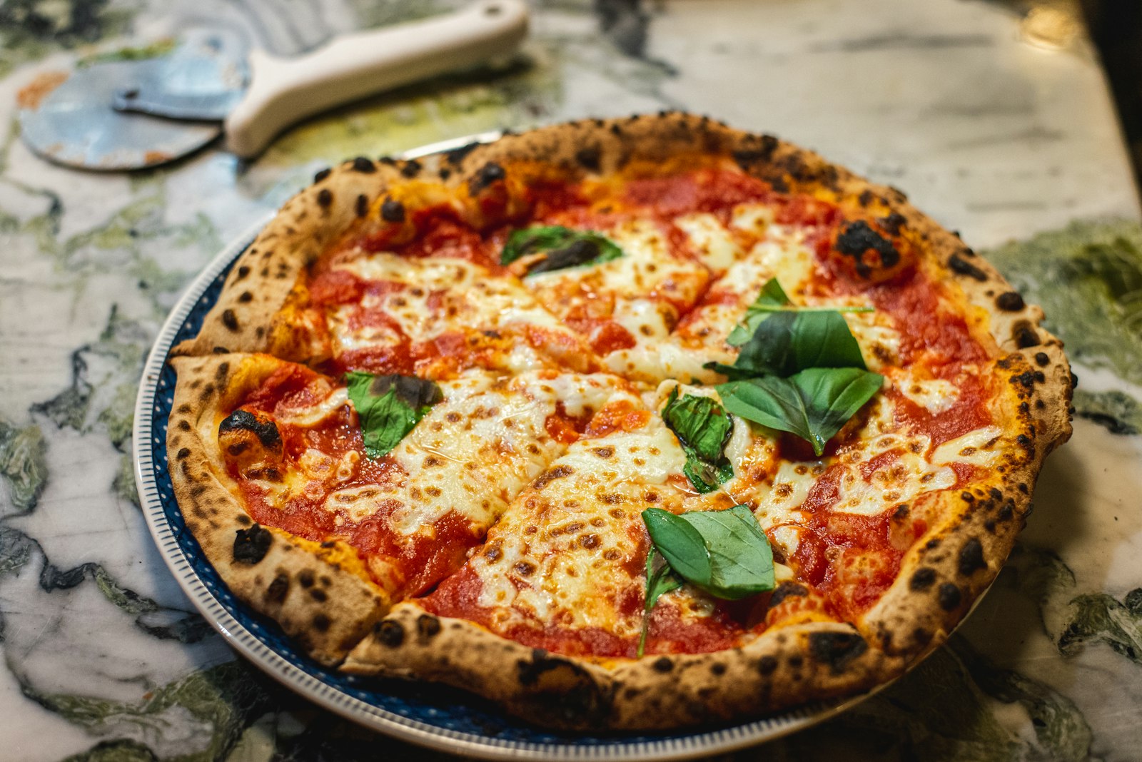 Allegra Trattoria dining photo