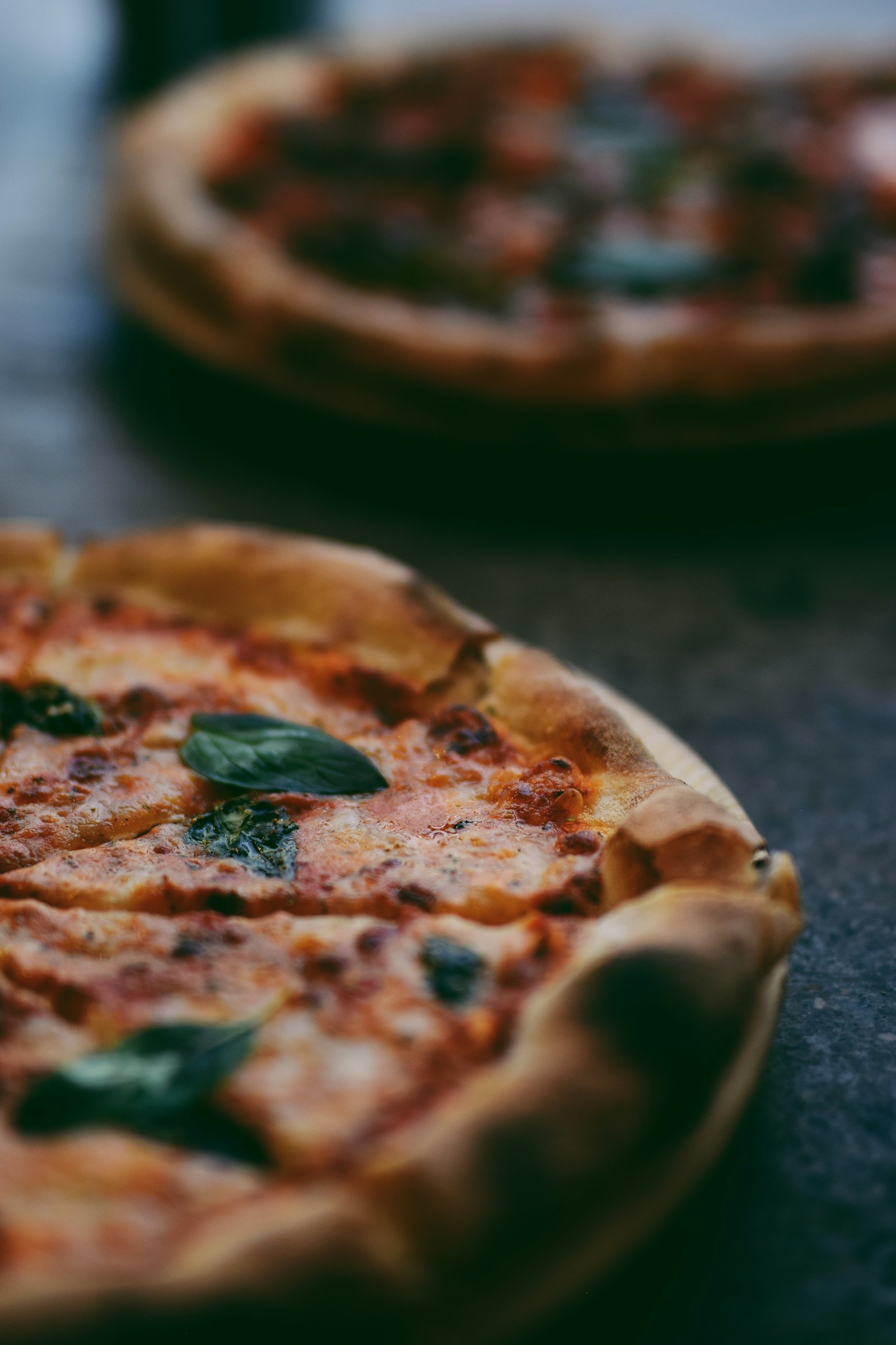 Allegra Trattoria dining photo